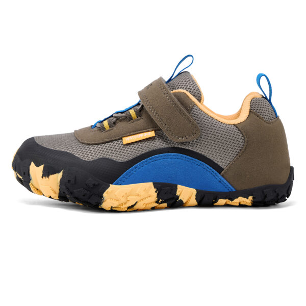 SAGUARO Quest low